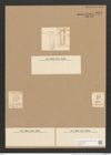 Surirella didyma Kuetz. (de-Toni-Nr.: Genus 53, Species 2268) Zeichnungen Sammlung Grunow Nr. 4695 (NHMW-BOT-W0372777)